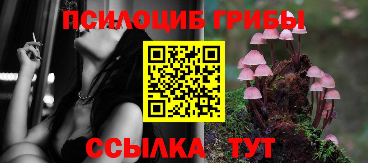Сунжа  Галлюциногенные грибы мухоморы  Галлюциногенные грибы GOLDEN TEACHER  Вход с VPN 